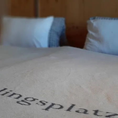 Guest house Hochleiten-gut Niedernsill